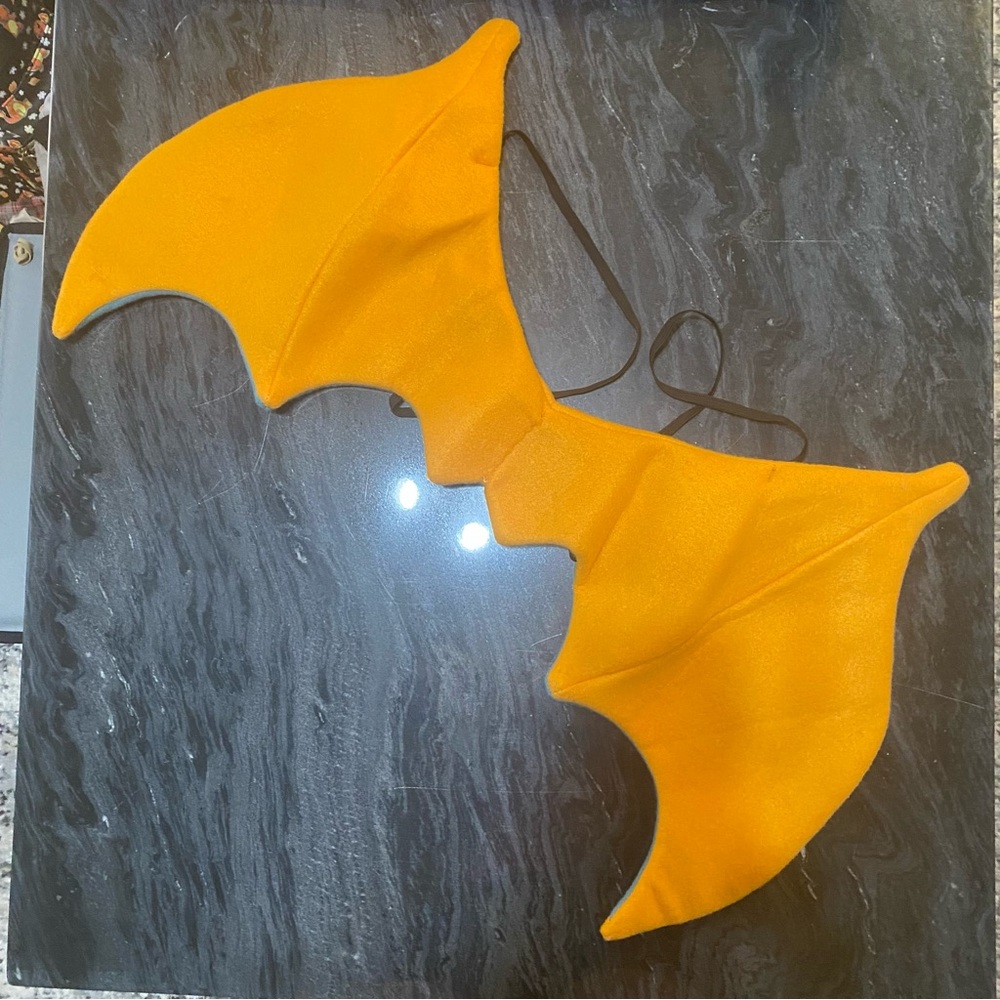 Charizard Pokémon Costume Wings